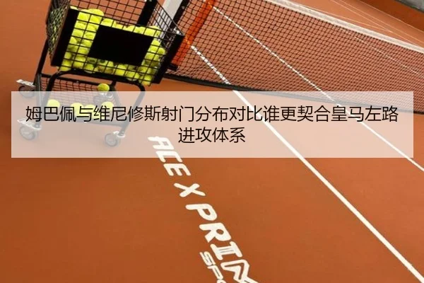 姆巴佩与维尼修斯射门分布对比谁更契合皇马左路进攻体系